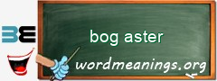 WordMeaning blackboard for bog aster